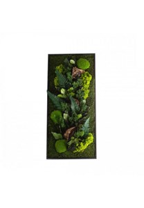 Tableau végétal canopee rectangle 40 x 9